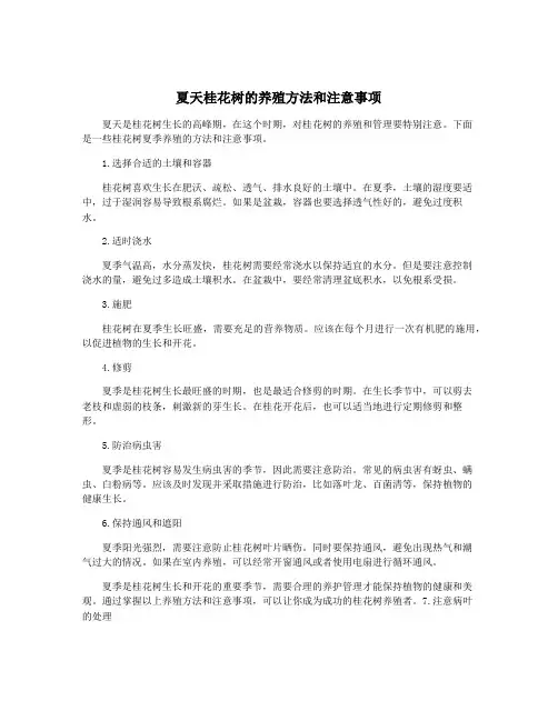 夏天桂花树的养殖方法和注意事项
