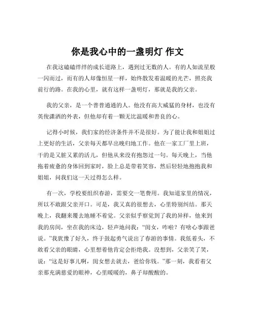 你是我心中的一盏明灯 作文