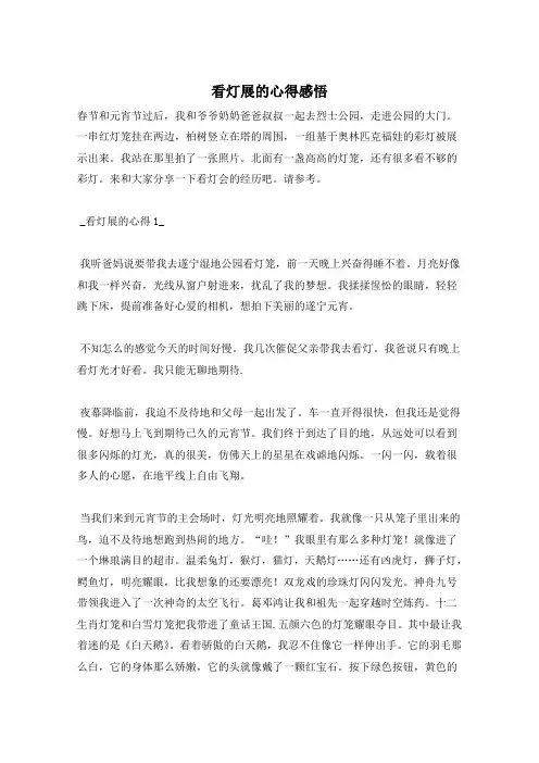 看灯展的心得感悟