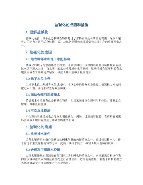 盐碱化的成因和措施