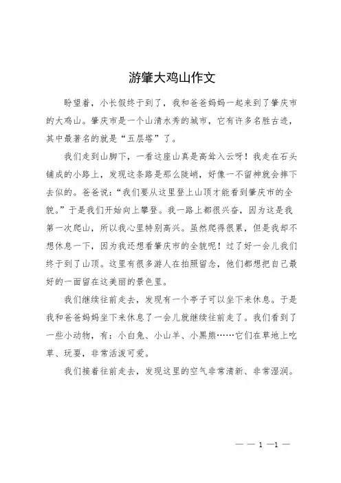 游肇大鸡山作文