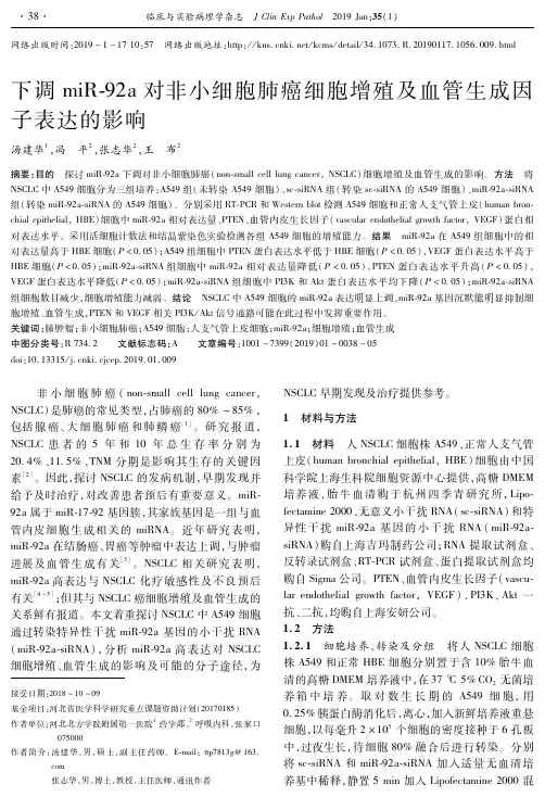 下调miR92a对非小细胞肺癌细胞增殖及血管生成因子表达的影响