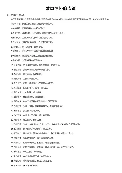 爱国情怀的成语