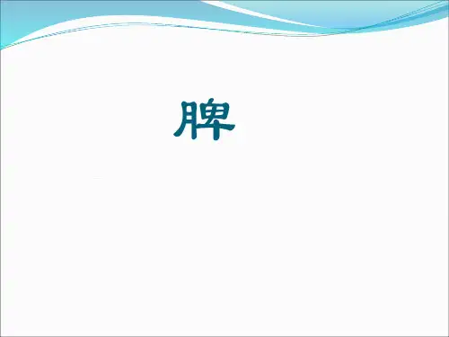 脾脏影像诊断学PPT