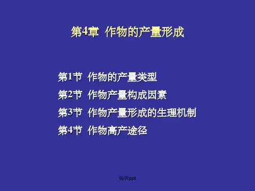 作物栽培学第4章 作物的产量形成