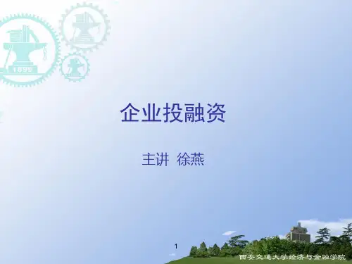 企业融资学ppt课件