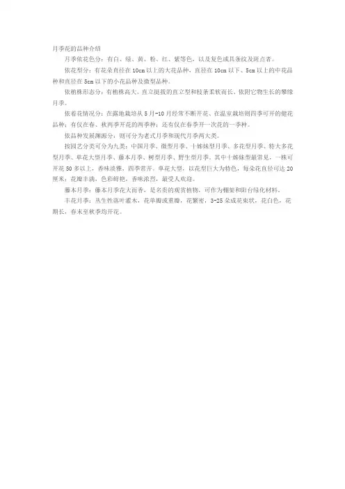 月季花的品种介绍