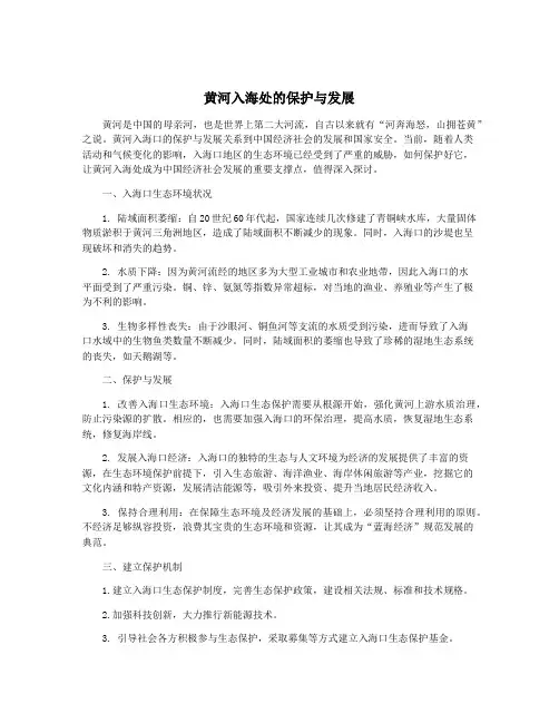 黄河入海处的保护与发展