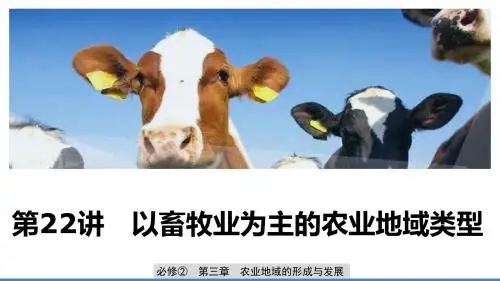 高考地理新大一轮复习重点课件+精讲义+优习题 (31)