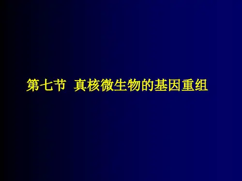 第二十三单元--第七章微生物遗传学(五)