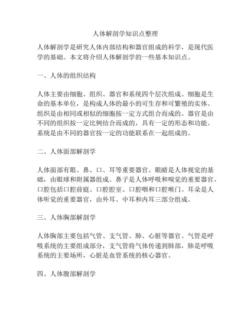 人体解剖学知识点整理