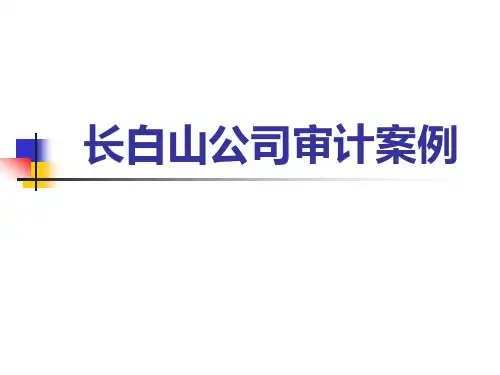 案例五长白山公司其他应收审计案例
