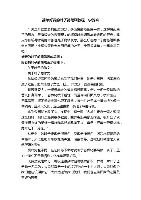 简单好看的叶子简笔画教程一学就会