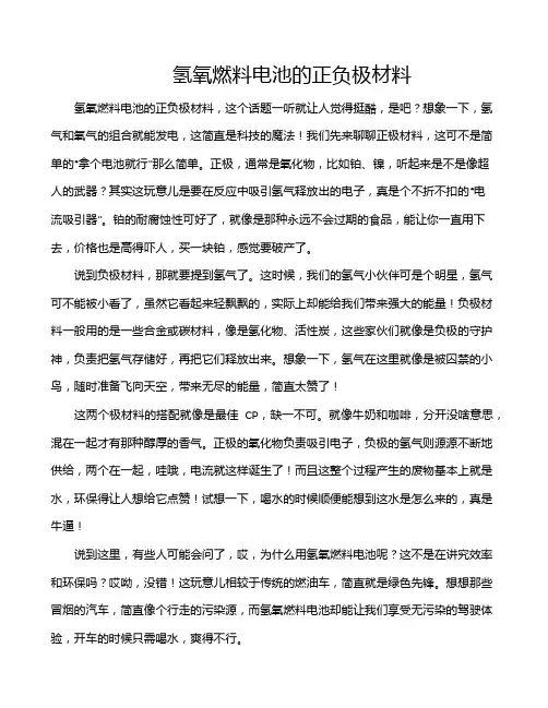 氢氧燃料电池的正负极材料