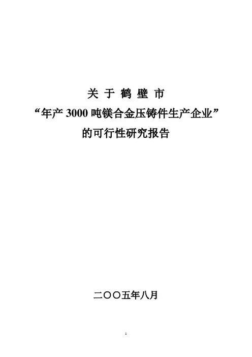 年产3000吨镁合金压铸件生产企业的可行性研究报告