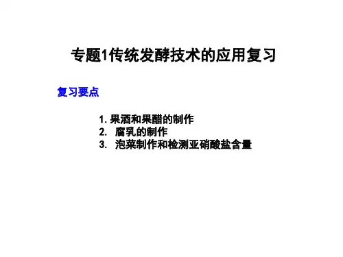 生物选修Ⅰ人教新课标专题1传统发酵技术的应用复习课件(11张)