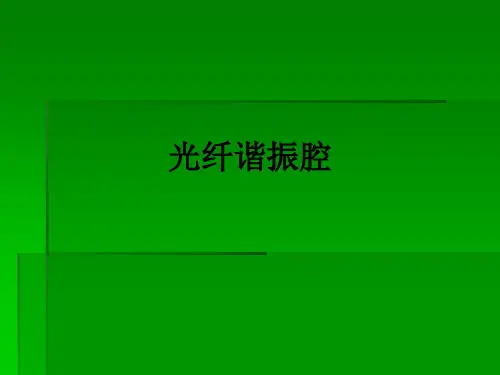 光纤谐振腔ppt课件
