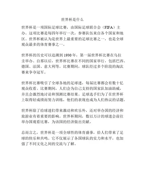 世界杯是什么