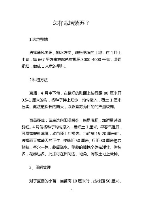 怎样栽培紫苏？