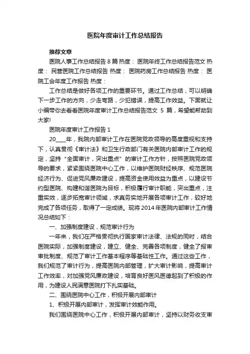 医院年度审计工作总结报告