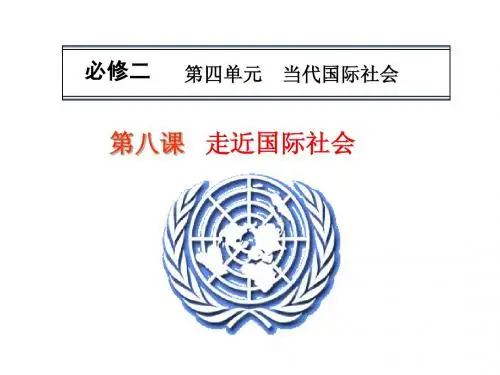 2014届高考一轮复习政治必修二4-8_走近国际社会