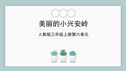 20《美丽的小兴安岭》说课课件(共22张PPT)