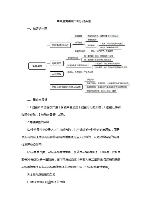 高中生免疫调节知识框架图