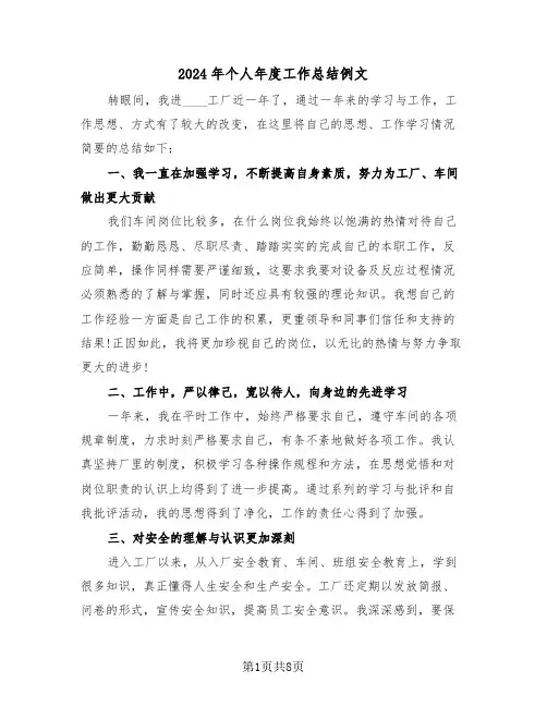 2024年个人年度工作总结例文(4篇)