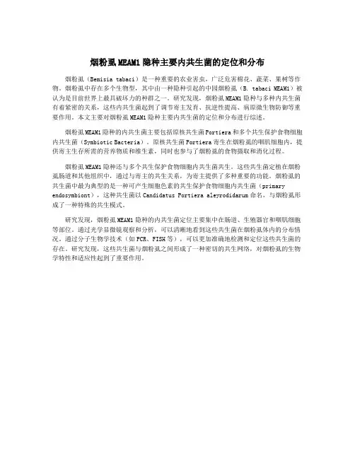 烟粉虱MEAM1隐种主要内共生菌的定位和分布