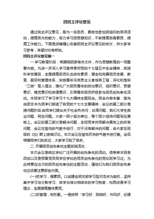 团民主评议意见