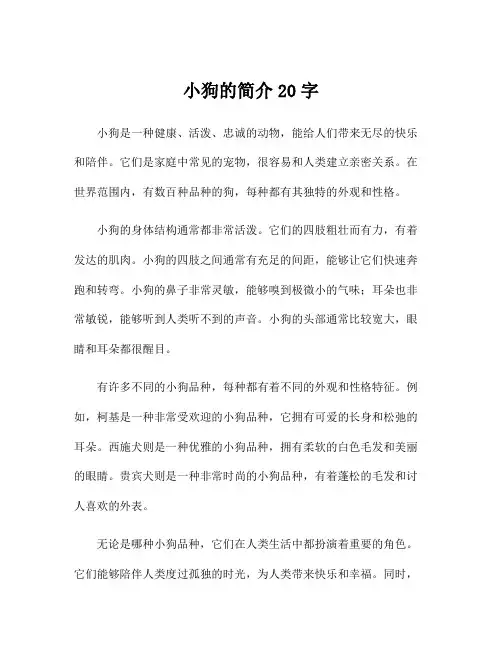 小狗的简介20字