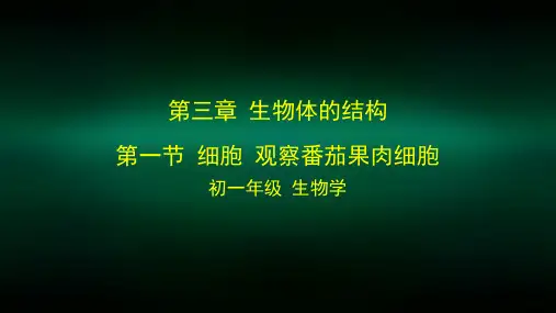 初一生物学(北京版)第三章生物体的结构第一节细胞观察番茄果肉细胞