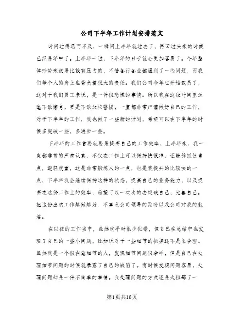 公司下半年工作计划安排范文（四篇）