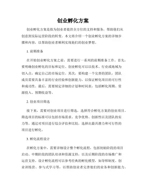 创业孵化方案
