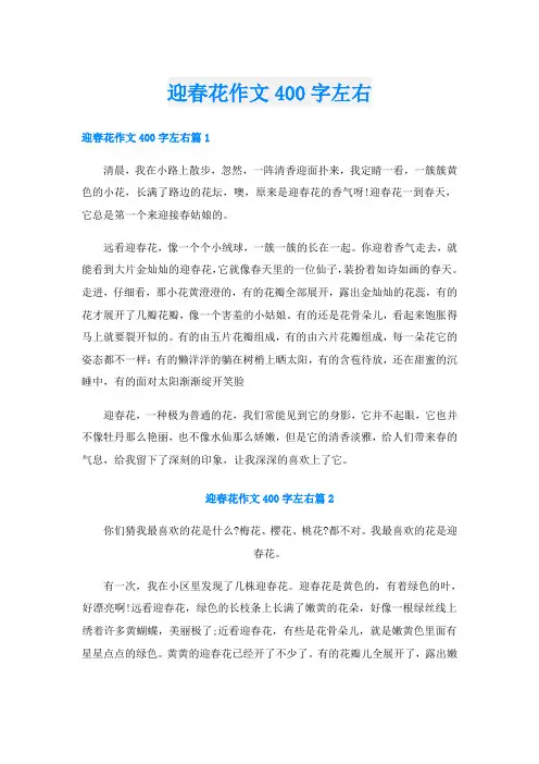 迎春花作文400字左右