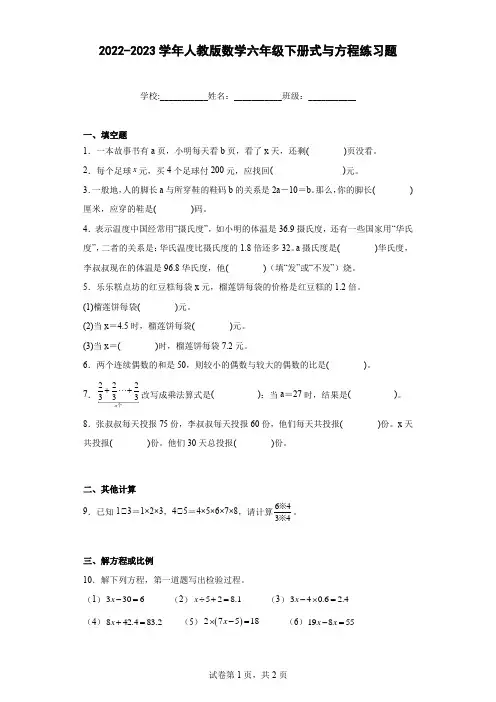 2022-2023学年人教版数学六年级下册式与方程练习题(含解析)