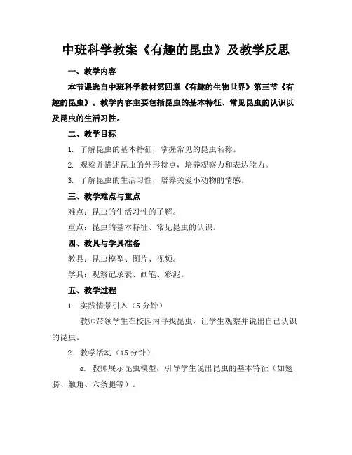 中班科学教案《有趣的昆虫》及教学反思