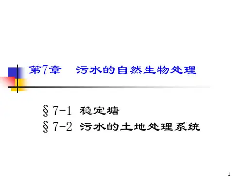 污水的自然生物处理PPT课件
