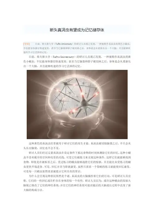 断头真涡虫有望成为记忆储存体