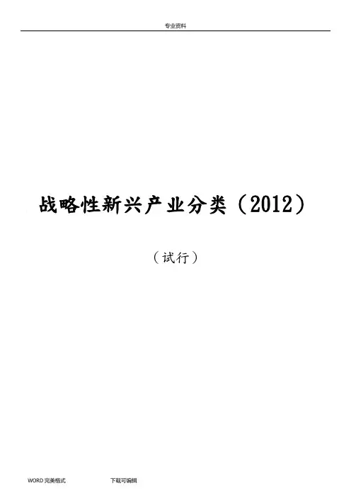 战略性新兴产业分类2