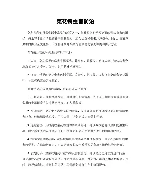 菜花病虫害防治