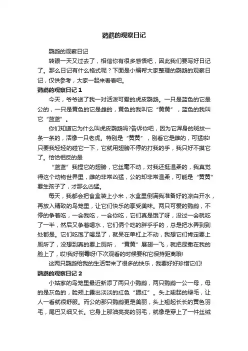 鹦鹉的观察日记