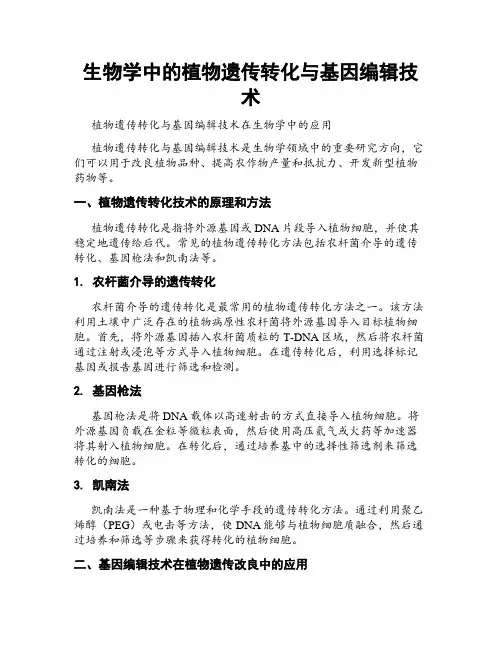 生物学中的植物遗传转化与基因编辑技术