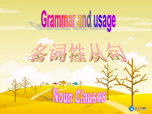 名词性从句导入语法讲解(2)