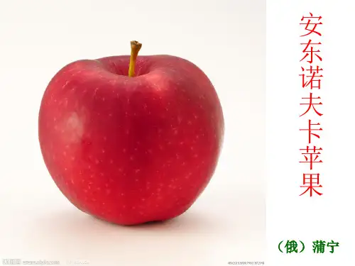 安东诺夫卡苹果 ppt课件