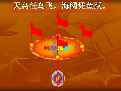 《解直角三角形》PPT课件 (2)