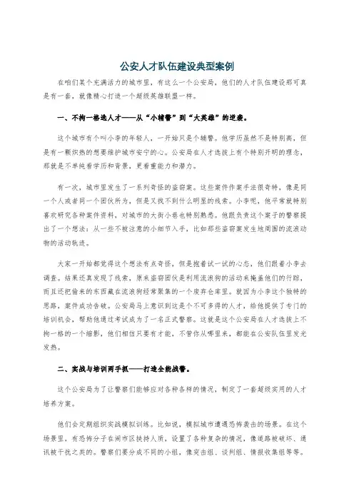 公安人才队伍建设典型案例