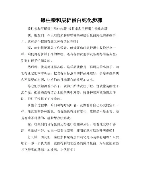 镍柱亲和层析蛋白纯化步骤