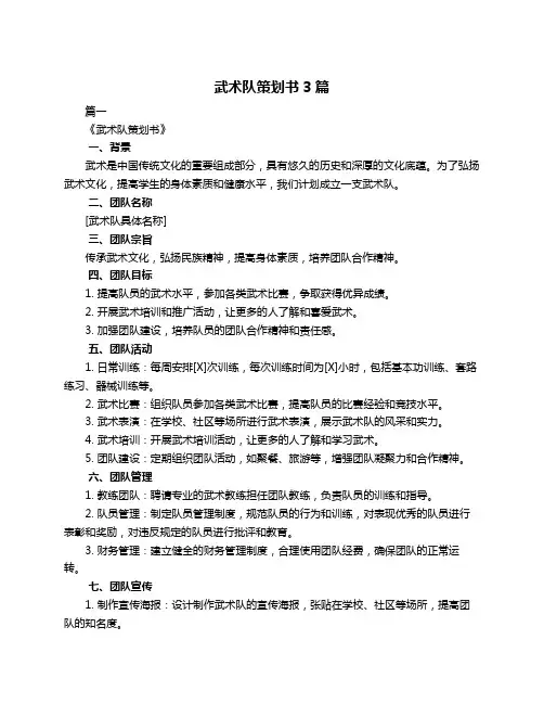 武术队策划书3篇