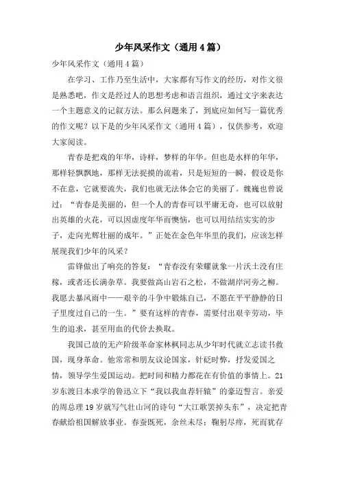 少年风采作文(通用4篇)